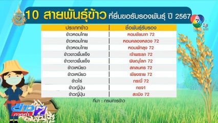 กรมการข้าว เตรียมรับรอง 10 ข้าวสายพันธุ์ใหม่