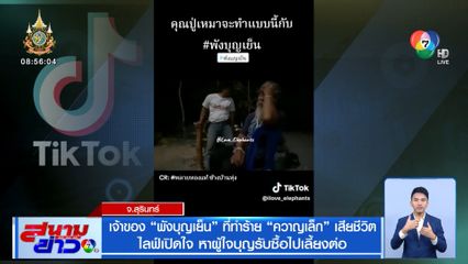 เจ้าของ พังบุญเย็น ที่ทำร้าย ควาญเล็ก เสียชีวิต ไลฟ์เปิดใจ หาผู้ใจบุญรับซื้อไปเลี้ยงต่อ