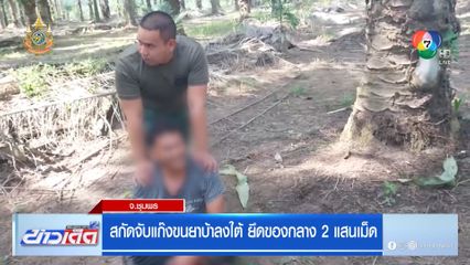 สกัดจับแก๊งขนยาบ้าลงใต้ ยึดของกลาง 2 แสนเม็ด