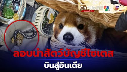 กรมศุลฯ จับ 6 ผู้ต้องหาอินเดีย ลอบนำสัตว์บัญชี CITES ออกนอกราชอาณาจักร ปลายทางอินเดีย