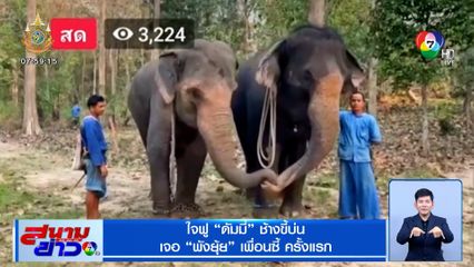 ใจฟู ดัมมี่ ช้างขี้บ่น เจอ พังยุ้ย เพื่อนซี้ ครั้งแรก