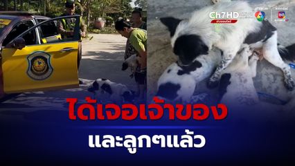 เจ้าไมโล แม่สุนัขแม่ลูกอ่อน ได้เจอกับเจ้าของและลูกๆแล้ว