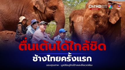 คิมซอนโฮและคณะสุดตื่นเต้น ได้ใกล้ชิดช้างไทยเป็นครั้งแรก