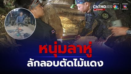 แม่ฮ่องสอน รวบหนุ่มลาหู่ลักลอบตัดไม้แดงกลางป่าลุ่มน้ำปาย