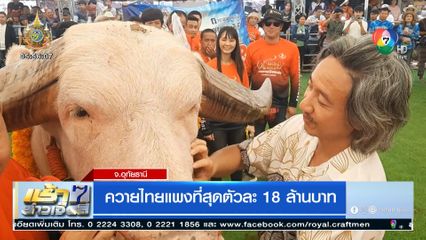 ควายไทยแพงที่สุดตัวละ 18 ล้านบาท