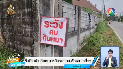 ขึ้นป้ายห้ามกินหมา หลังหมา 30 ตัวหายเกลี้ยง