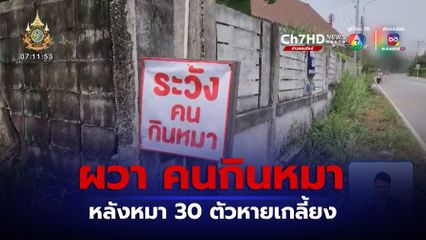 ขึ้นป้ายห้ามกินหมา หลังหมา 30 ตัวหายเกลี้ยง