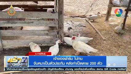 เจ้าของฟาร์ม ไม่ทน จับหมาเป็นตัวประกัน หลังทำเป็ดตาย 200 ตัว
