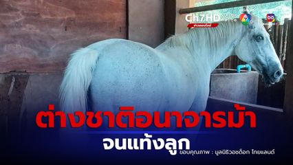 ชายชาวต่างชาติอนาจารม้าท้องแก่จนแท้งลูก