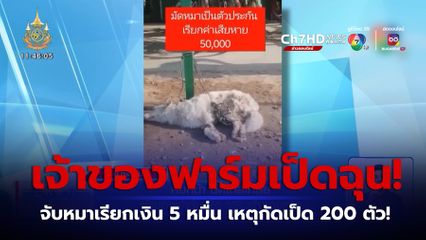 คืบหน้า นัดไกล่เกลี่ย เจ้าของฟาร์มเป็ด VS เจ้าของหมา