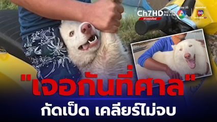 คู่กรณี ดรามา! สุนัขกัดเป็ด เคลียร์กันไม่จบ ขอไปเจอกันที่ศาล