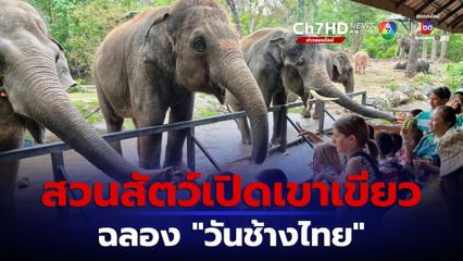 สวนสัตว์เปิดเขาเขียว ฉลองวันช้างไทย มอบเค้กก้อนยักษ์ผลไม้ให้กับช้าง