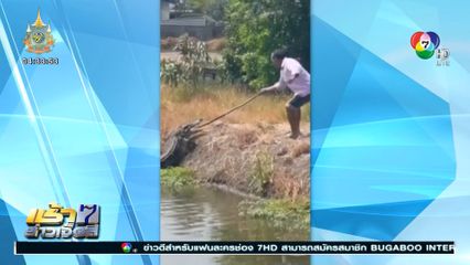 บ่อเลี้ยงจระเข้แตก จระเข้ขนาดใหญ่หลุดเพ่นพ่าน