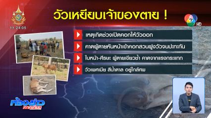 วัวตกใจกระโดดเหยียบเจ้าของ เสียชีวิต