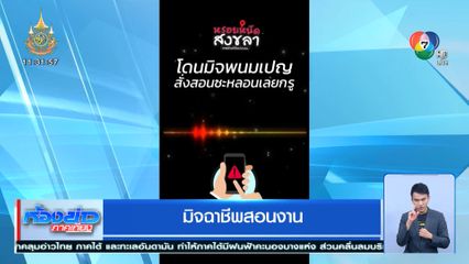 มิจฉาชีพสอนงาน