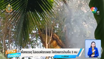 ผึ้งหลวงดุ ไม่ชอบผัดกะเพรา ไล่ต่อยชาวบ้านเจ็บ 3 คน