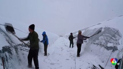 พายุหิมะพัดถล่มจีน ในช่วงฤดูใบไม้ผลิ