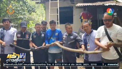 7 ชีวิต หนีงูนอนนอกบ้าน