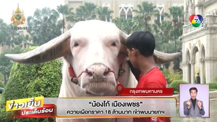 น้องโก้ เมืองเพชร ควายเผือกราคา 18 ล้านบาท เข้าพบนายกฯ