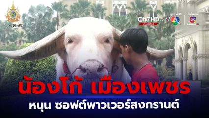 น้องโก้ เมืองเพชร ควายเผือกราคา 18 ล้านบาท เข้าพบนายกฯ