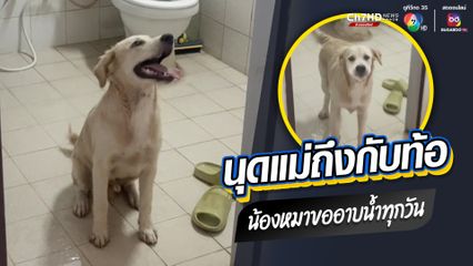 นุดแม่ถึงกับท้อ เมื่อน้องหมาขออาบน้ำทุกวัน
