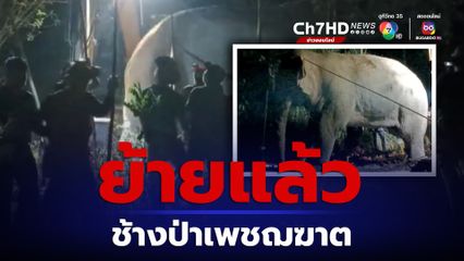 เคลื่อนย้ายแล้ว สีดอโหนก ช้างป่าทำร้ายชาวบ้าน