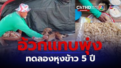 ทดลองหุงข้าว 5 ปี อ้วกแทบพุ่ง ปราชญ์ข้าวสุรินทร์แนะเอาไปทำปุ๋ย