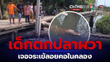 ยังหาตัวไม่เจอ เด็กตกปลาผวา เห็นจระเข้ลอยคอในคลอง
