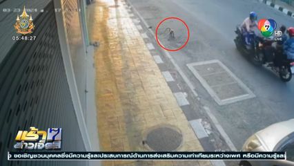 ลิงอาละวาดหนัก กระโดดเกาะรถ จยย.แย่งถุงใส่กับข้าว ทำรถ จยย.เสียหลัก พุ่งชนประสานงากัน