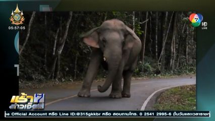 เห็นกล้องไม่ได้