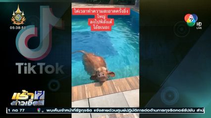 สงสัยจะร้อนจัด