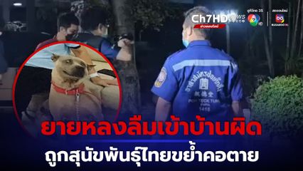 สลด ยายวัย 74 ปี ป่วยอัลซไฮเมอร์ เข้าบ้านผิดหลัง ถูกสุนัขพันธุ์ไทยขย้ำคอเสียชีวิต