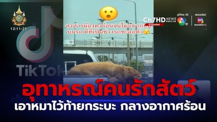 อุทาหรณ์ เอาหมาไว้ท้ายรถกระบะ ท่ามกลางอากาศร้อน
