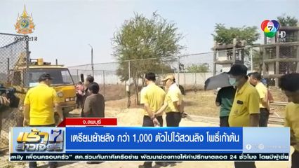 เตรียมย้ายลิง กว่า 1,000 ตัวไปไว้สวนลิง โพธิ์เก้าต้น