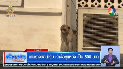 เพิ่มรางวัลนำจับ เจ้าจ๋อหูแหว่ง เป็น 500 บาท