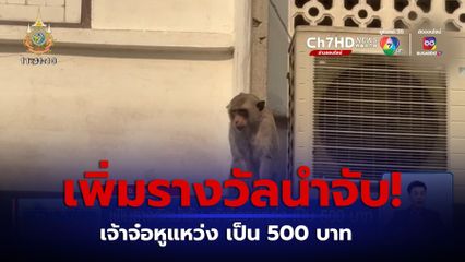 เพิ่มรางวัลนำจับ เจ้าจ๋อหูแหว่ง เป็น 500 บาท