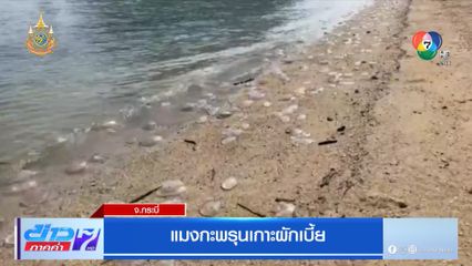 แมงกะพรุนเกาะผักเบี้ย