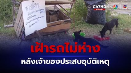 หมา 2 ตัว เฝ้ารถซาเล้งไม่ห่าง รอเจ้าของมารับกลับ หลังเจ้าของประสบอุบัติเหตุต้องนอนโรงพยาบาล