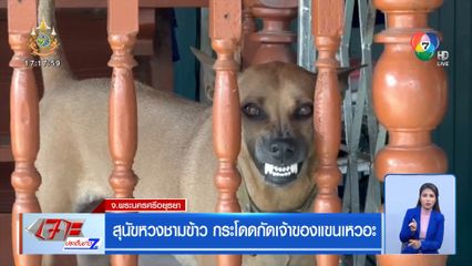 สุนัขหวงชามข้าว กระโดดกัดเจ้าของแขนเหวอะ