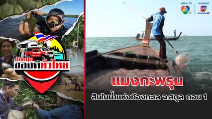 ปักหมุดของดีทั่วไทย : แมงกะพรุน สินในน้ำแห่งท้องทะเล จ.สตูล ตอน 1