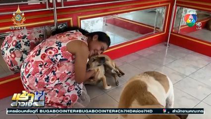 ชื่นชมผู้ให้ใจบุญ ร้านนี้พร้อมเป็นความสุขให้น้องหมา
