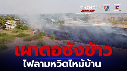 ชาวนาลอบจุดไฟเผาตอซังข้าว ไฟลามหวิดไหม้บ้านเรือน ปชช.