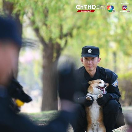 ฝูไจ่ สุนัขตำรวจจีนพันธุ์คอร์กี้ ดาวเด่นทีมลาดตระเวน  