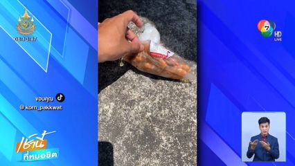 เปิดใจหนุ่มซื้อกุ้งเก็บใต้เบาะ เจอแดดเมืองไทยได้กุ้งสุก