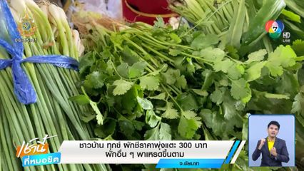 ชาวบ้านทุกข์ ผักชีราคาพุ่งแตะ 300 บาท ผักอื่นๆ พาเหรดขึ้นตาม