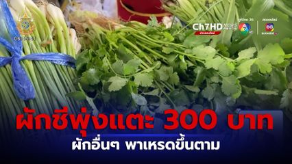 ชาวบ้านทุกข์ ผักชีราคาพุ่งแตะ 300 บาท ผักอื่นๆ พาเหรดขึ้นตาม
