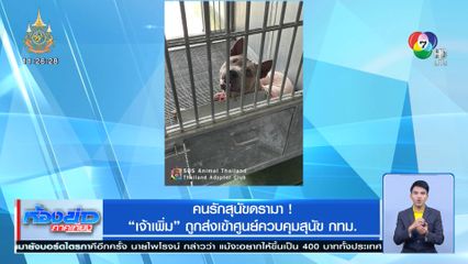 คนรักสุนัขดรามา! เจ้าเพิ่ม ถูกส่งเข้าศูนย์ควบคุมสุนัข กทม.