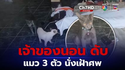 หนุ่มอุดรฯ สักเสือเผ่น กระอักเลือดก่อนดับ ในบ้านลำพัง โดยมีแมวนั่งเฝ้าอยู่ใกล้ผู้ตาย