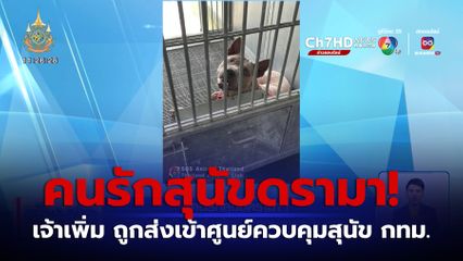 คนรักสุนัขดรามา! เจ้าเพิ่ม ถูกส่งเข้าศูนย์ควบคุมสุนัข กทม.