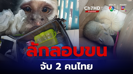 จับ 2 คนไทย ลักลอบขนสัตว์ซุกกระเป๋าเดินทาง